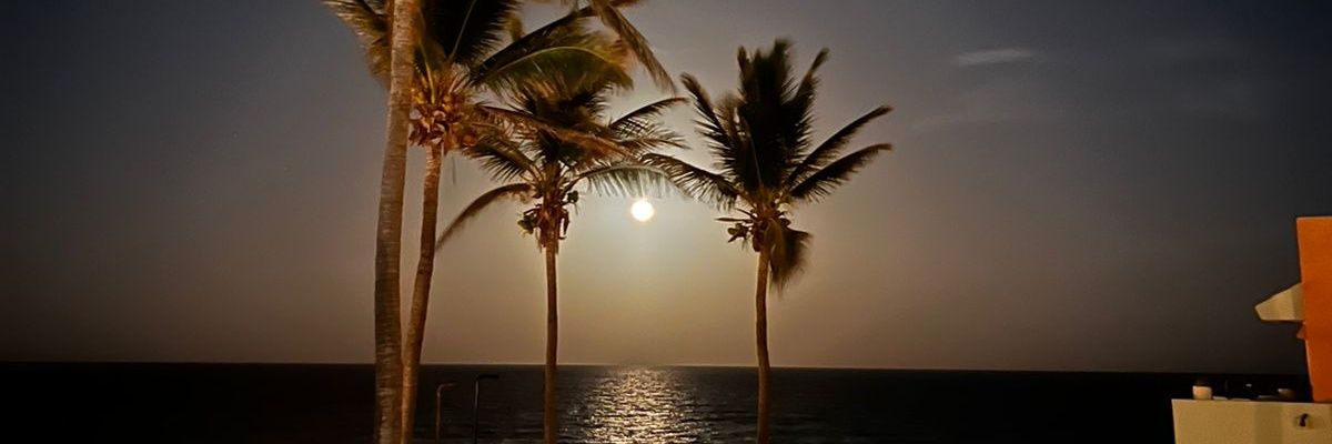 mm_ralberto's profile banner image