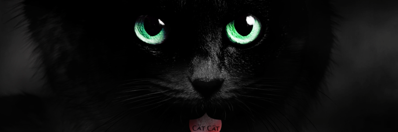 catcatofficial's profile banner image