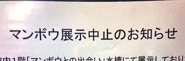 dn2manbow Profile Banner