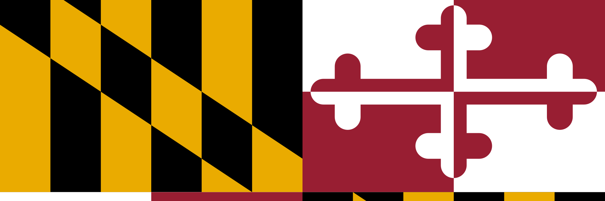 Matthew Scales banner