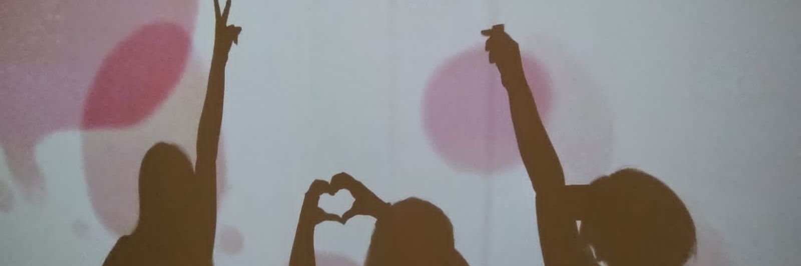 SilvinaMonaco's profile banner image
