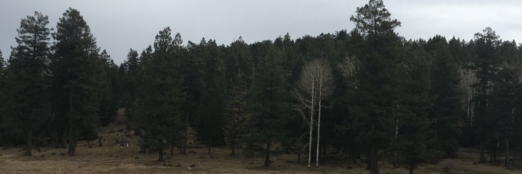 DestinyARios3's profile banner image