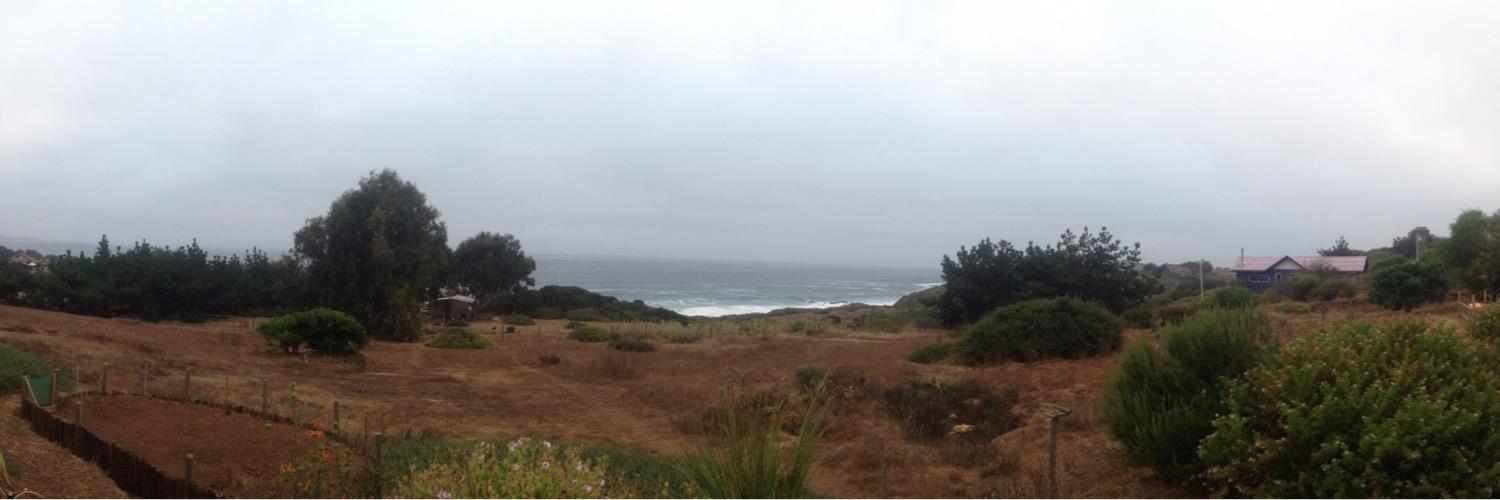 Javiera Pinto banner