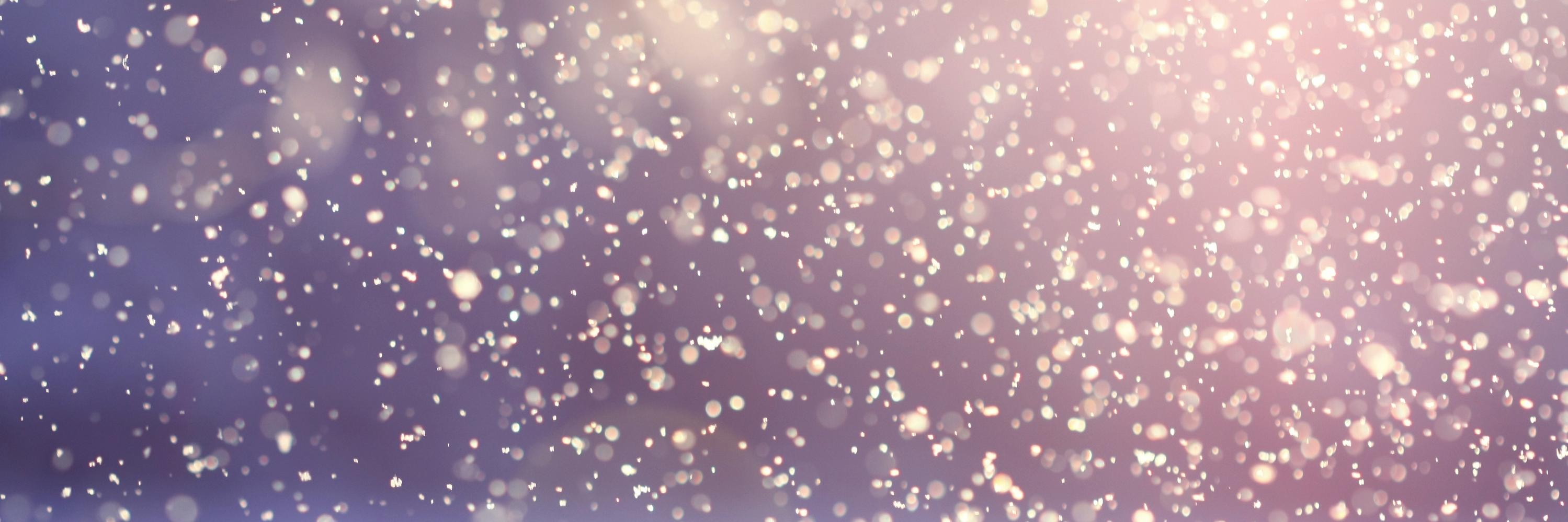 milliemoreno's profile banner image