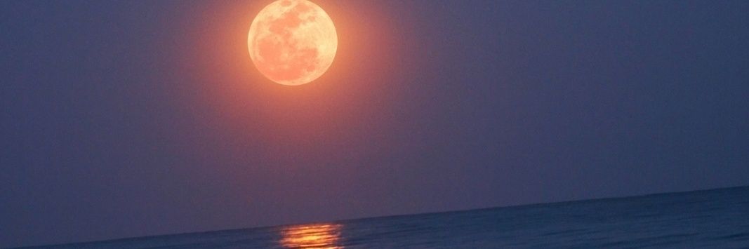 AndresEli81's profile banner image