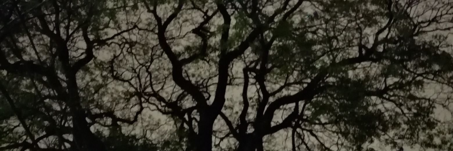 Hectorreyes94's profile banner image