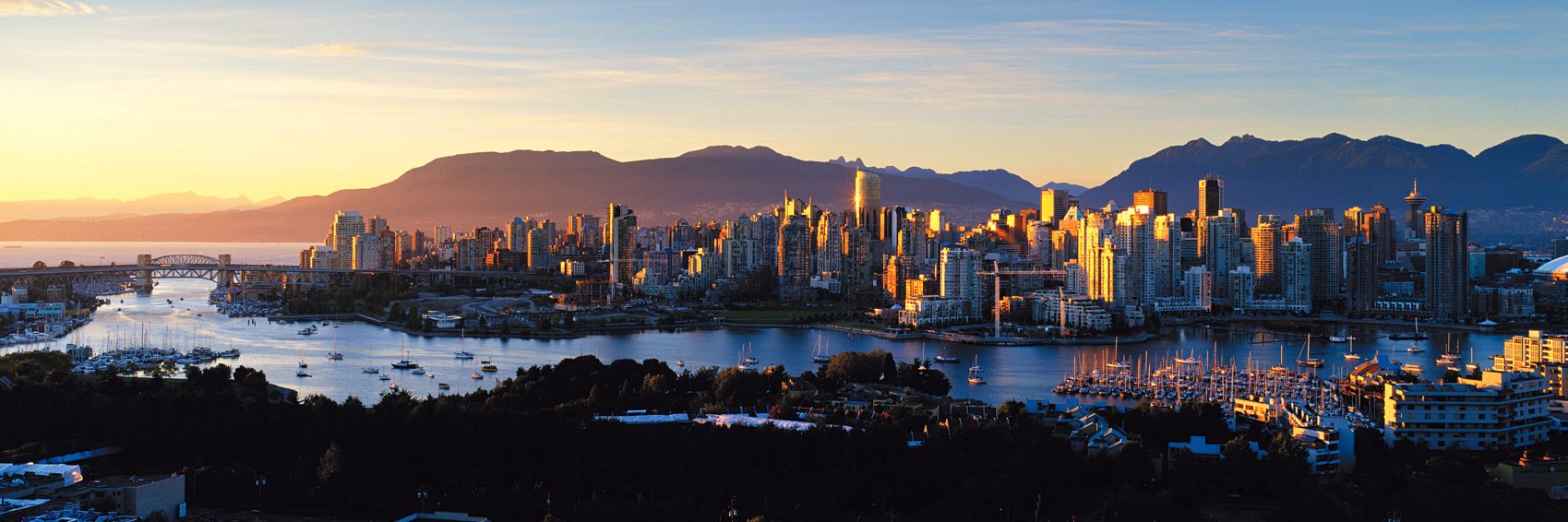 Neil Dullaghan banner