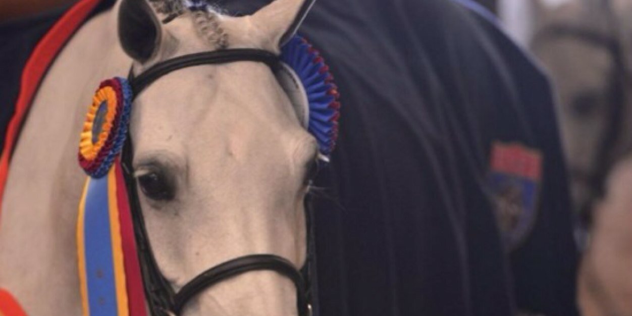 ekurtz00's profile banner image