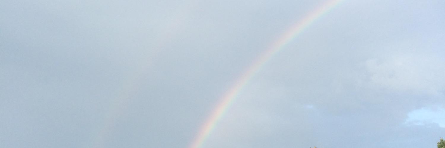 amyzon73's profile banner image