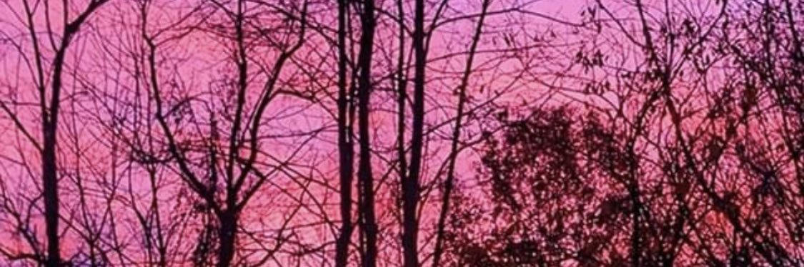 nvmkatelyn's profile banner image