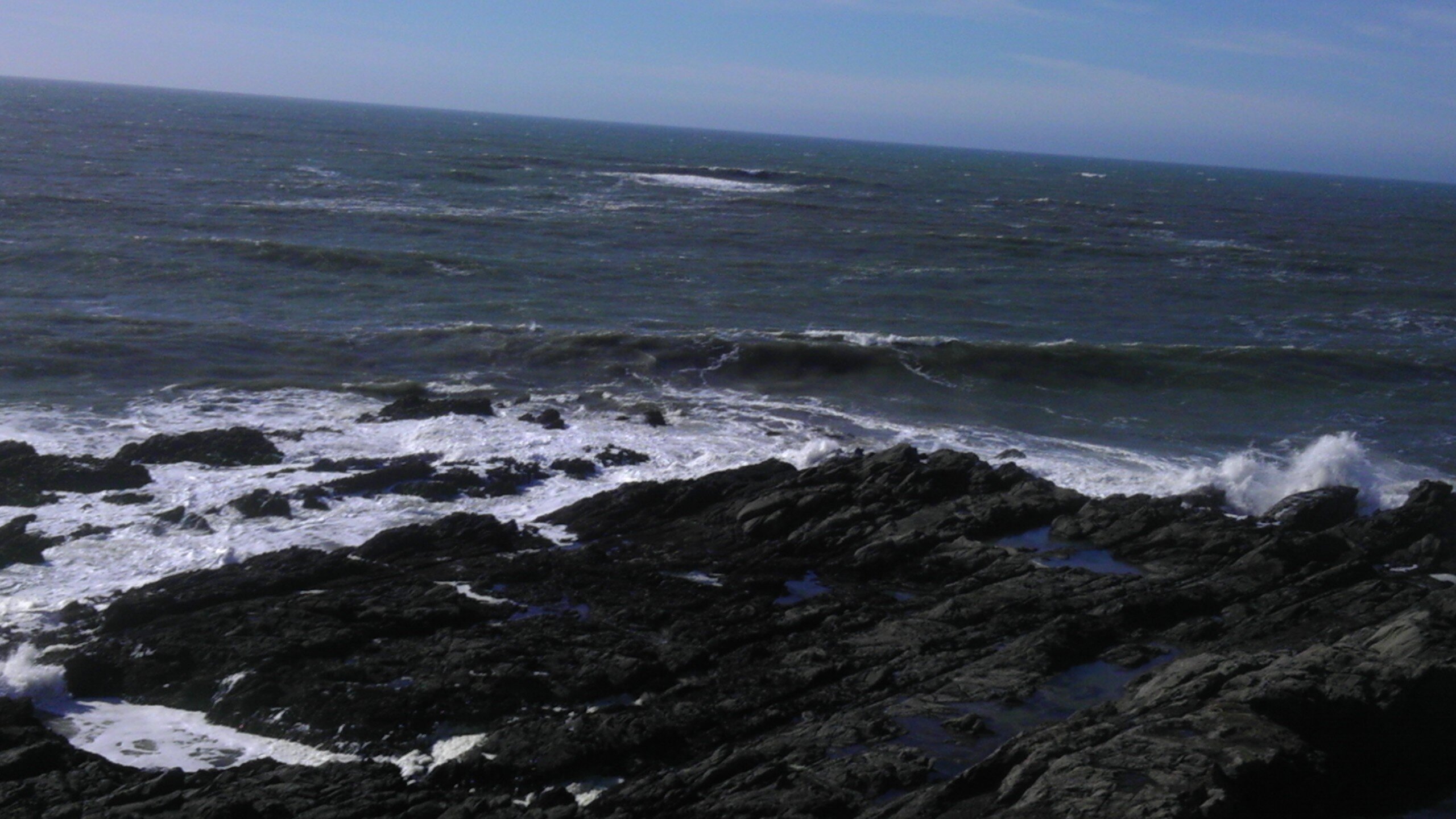 Bluefooted23's profile banner image