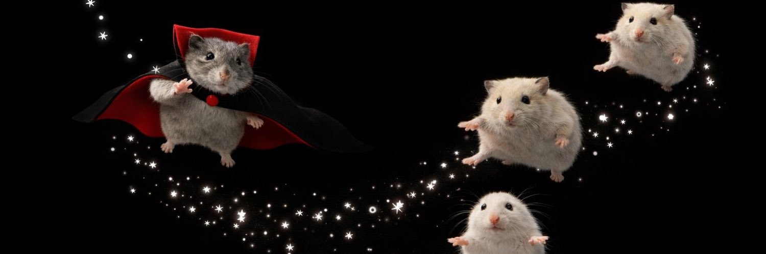 independent dependable oddball ?! banner