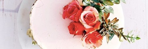 PetuniaResposte's profile banner image