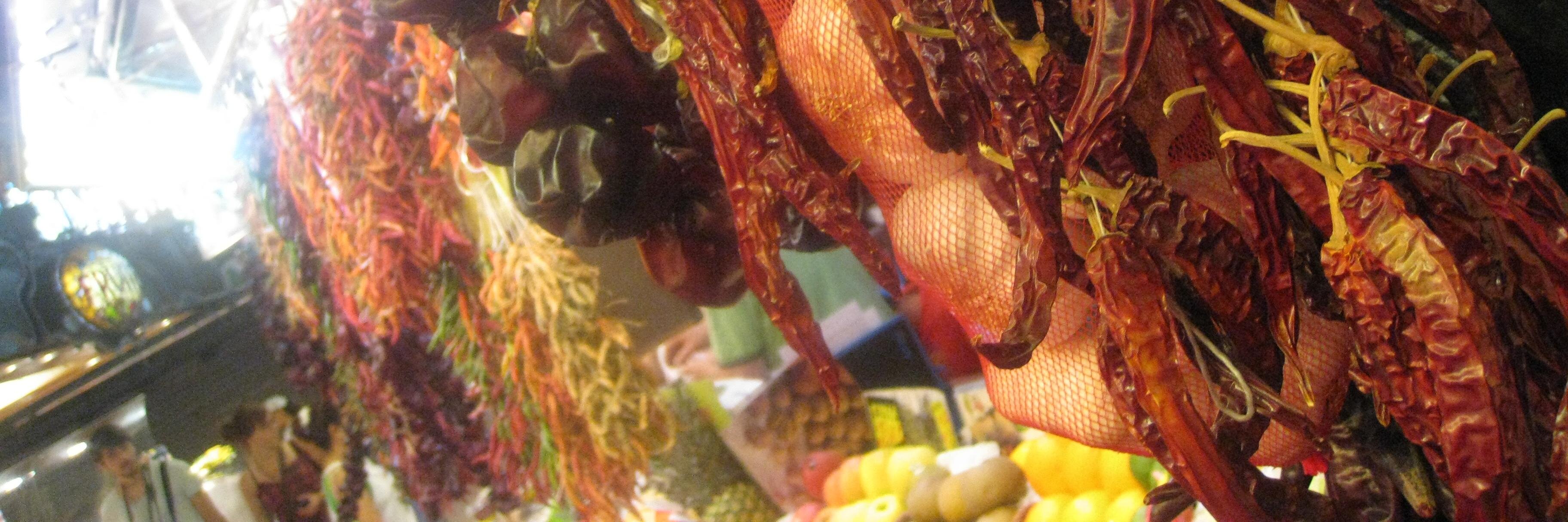 Sarah Hession banner