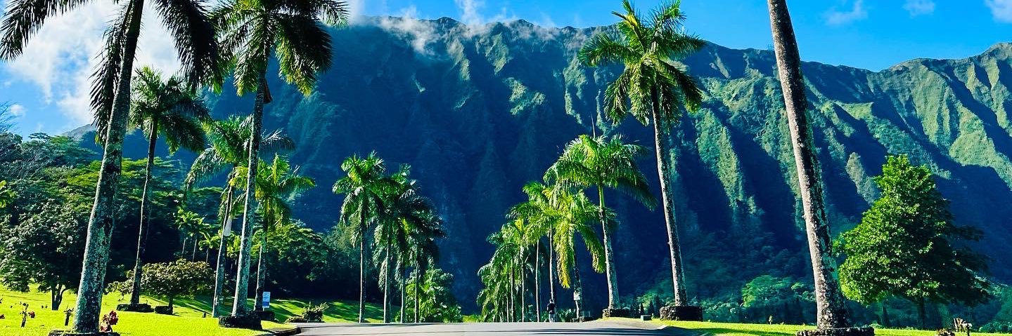 Alex R. Fischer banner