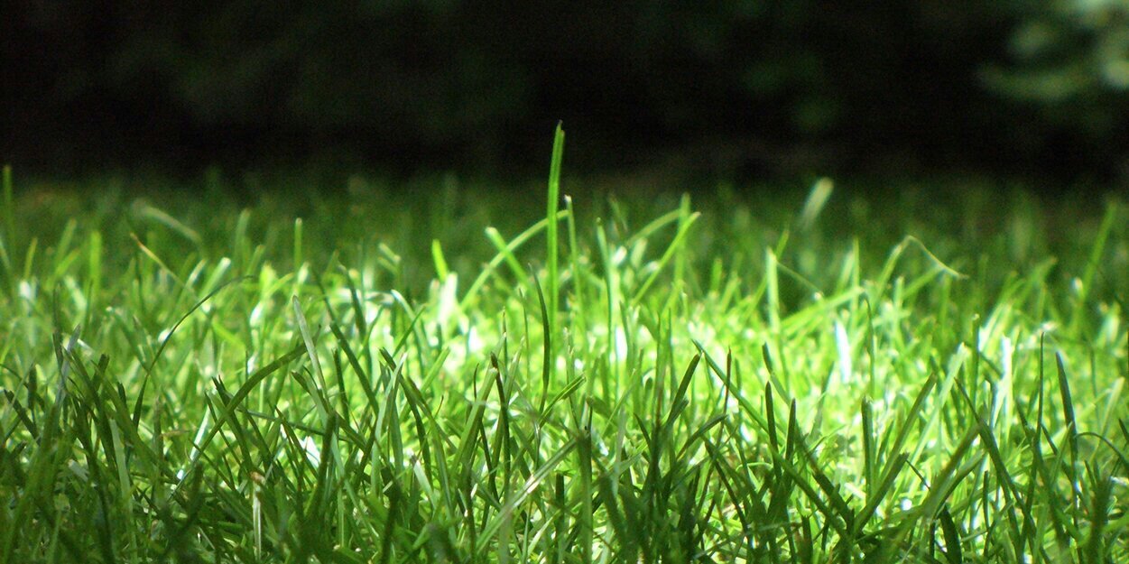 t_brocato's profile banner image