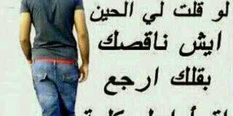 shamran2441's profile banner image