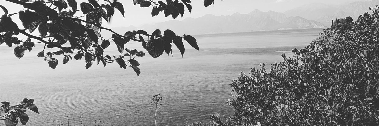 SncrD's profile banner image