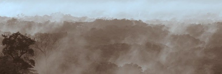 Luke L. Powell banner