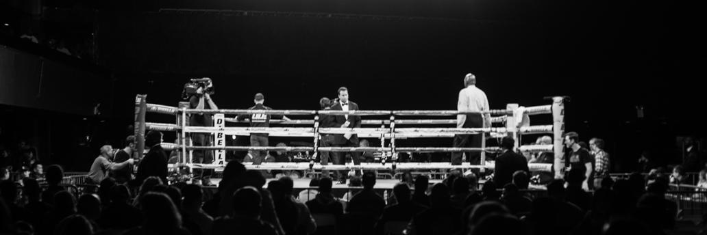 FightFans's profile banner image