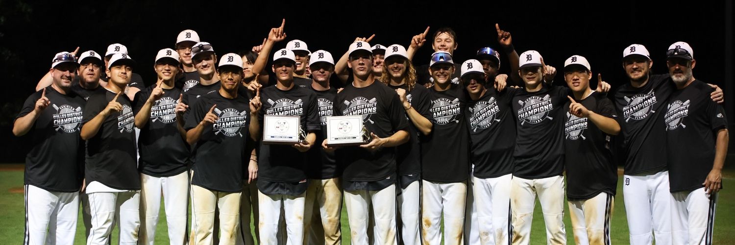 DHS Titan Baseball banner