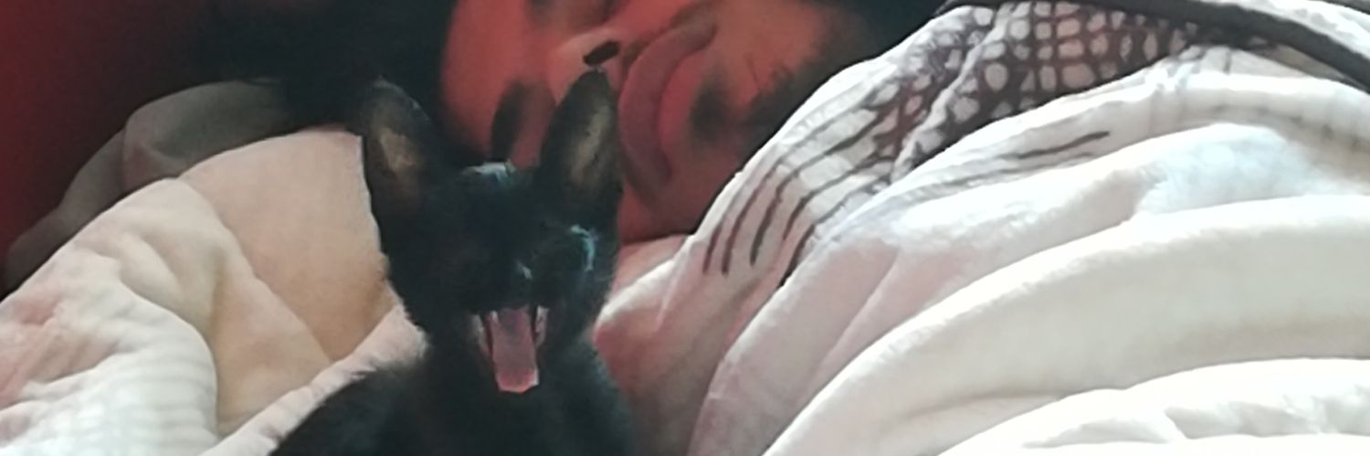 XcvUlz's profile banner image