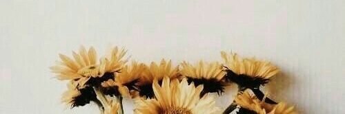 nayundaa's profile banner image
