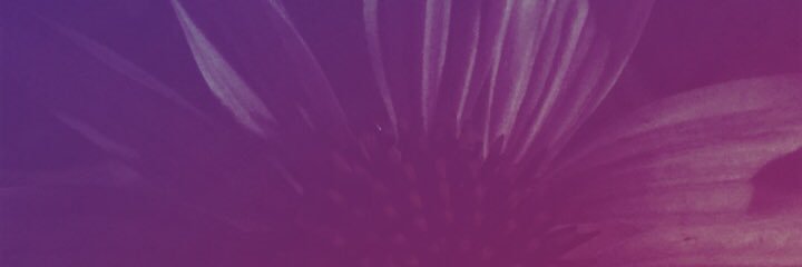 macemaceee's profile banner image