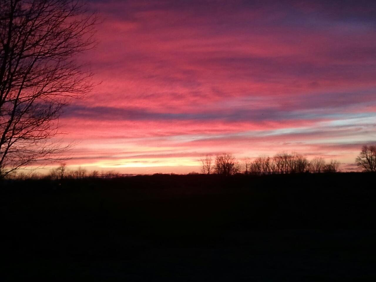 Kelly 🧛‍♀️ banner