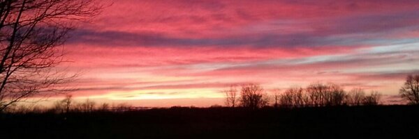 vampirebuff Profile Banner