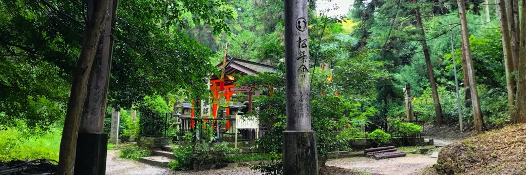 Arron Duckling banner