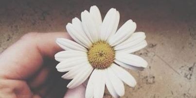windygracy's profile banner image