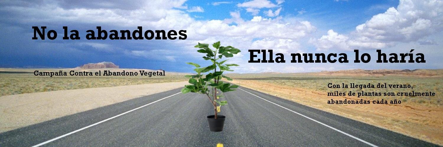 Cotejos's profile banner image
