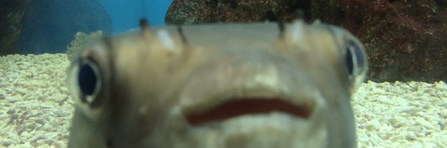 morirunn_ds's profile banner image