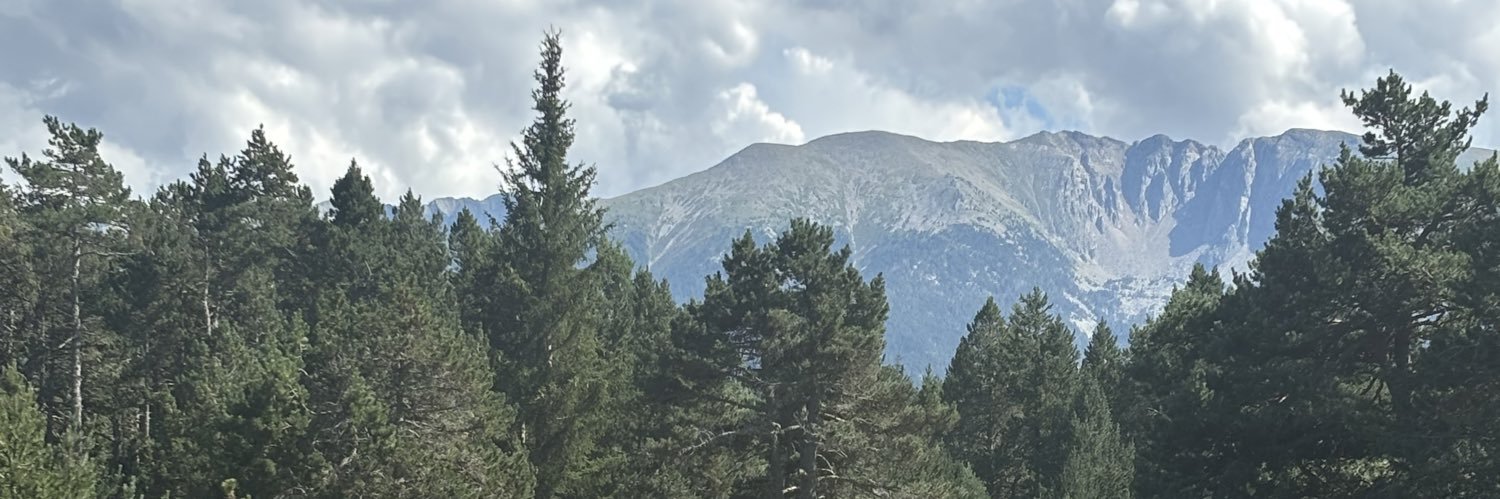 annamarcr's profile banner image
