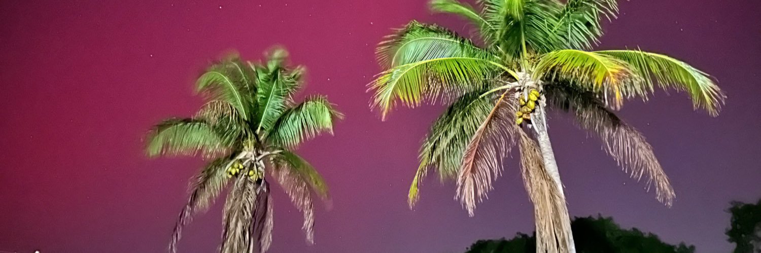 MelissaB_FSU's profile banner image