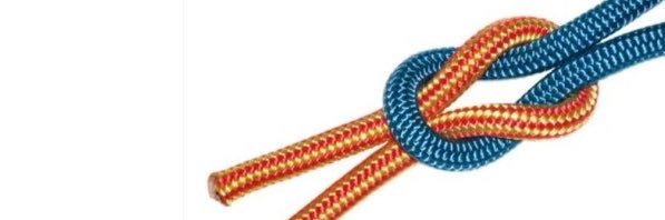 Rik van der Steijn banner