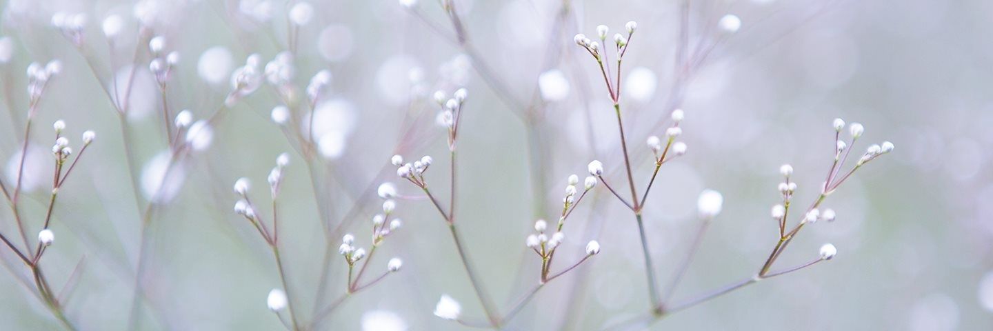 Elmamertha1's profile banner image