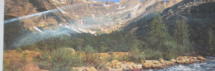 Begoña Nuño banner