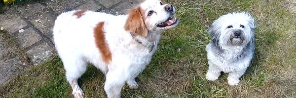 Carlsonsports Profile Banner