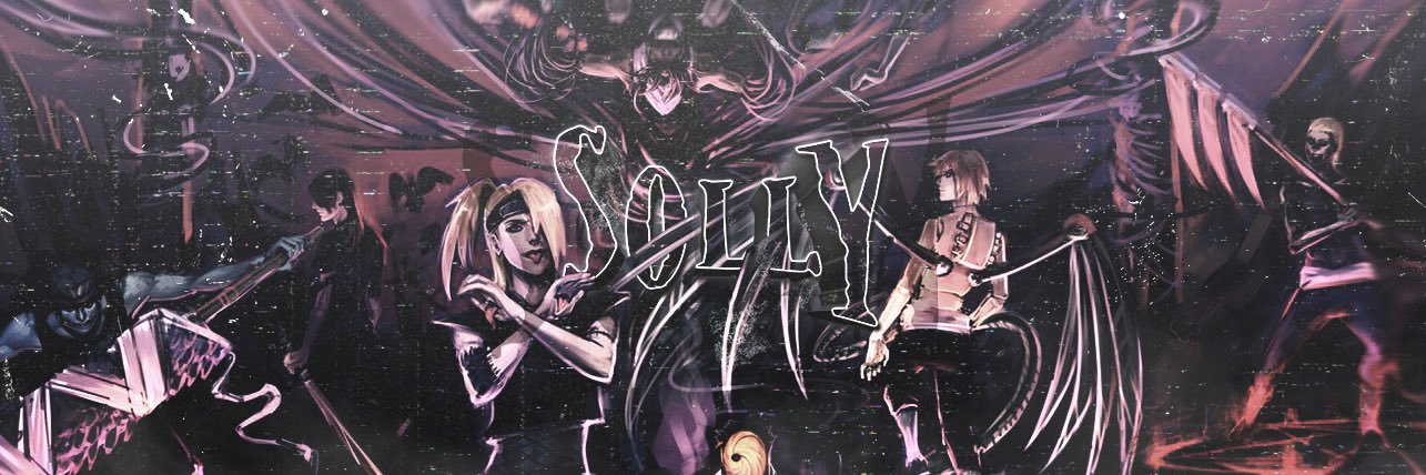 solly 2N banner