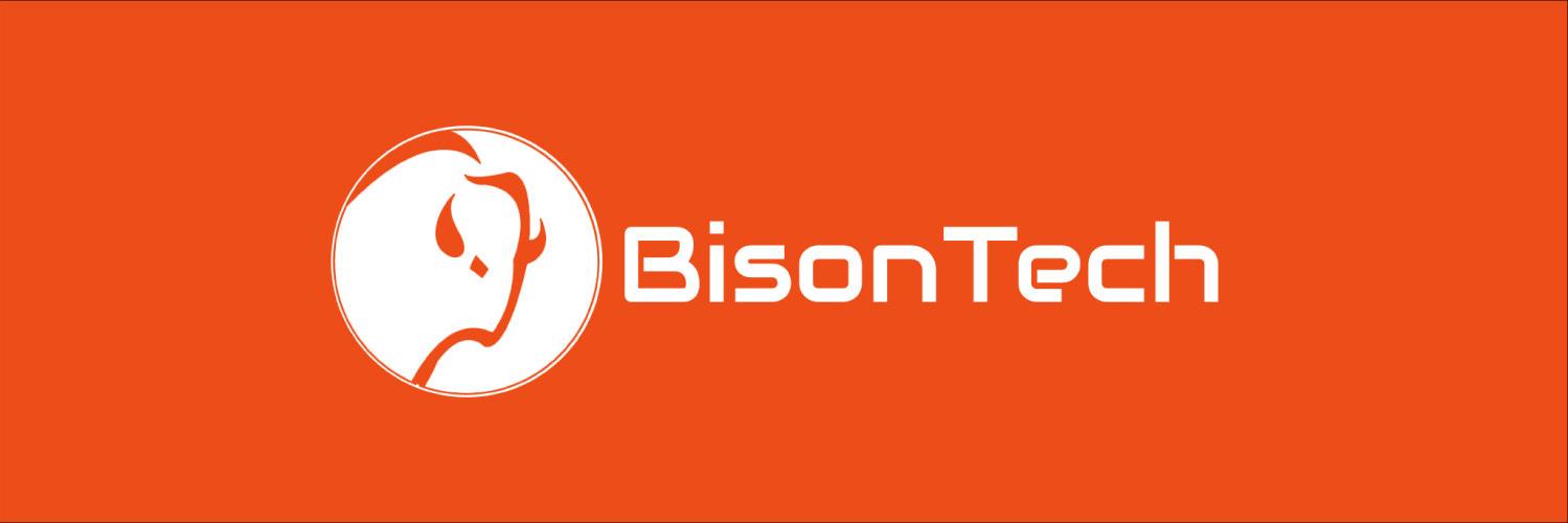 BisonTech Consulting (@bisontechh) / Posts / X