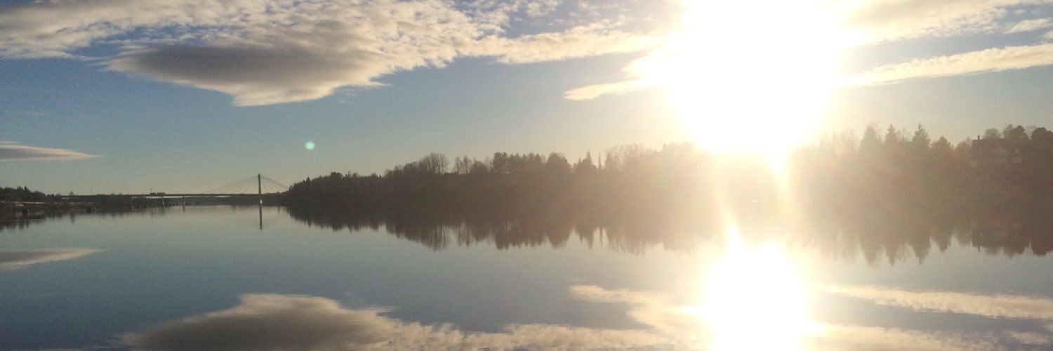 mralfredsson's profile banner image