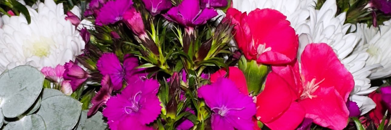 rosamercedess's profile banner image