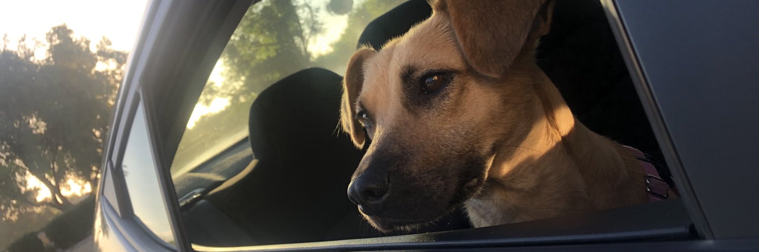 AJManderichio's profile banner image