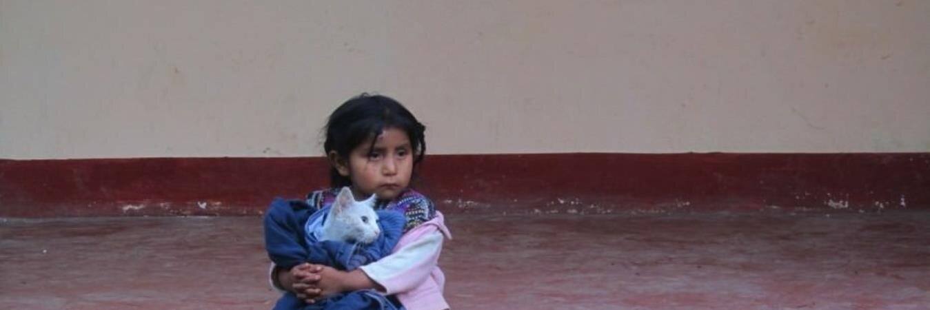 GirlUpMexico's profile banner image
