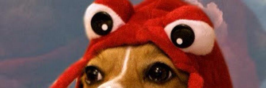 RevengePotato's profile banner image