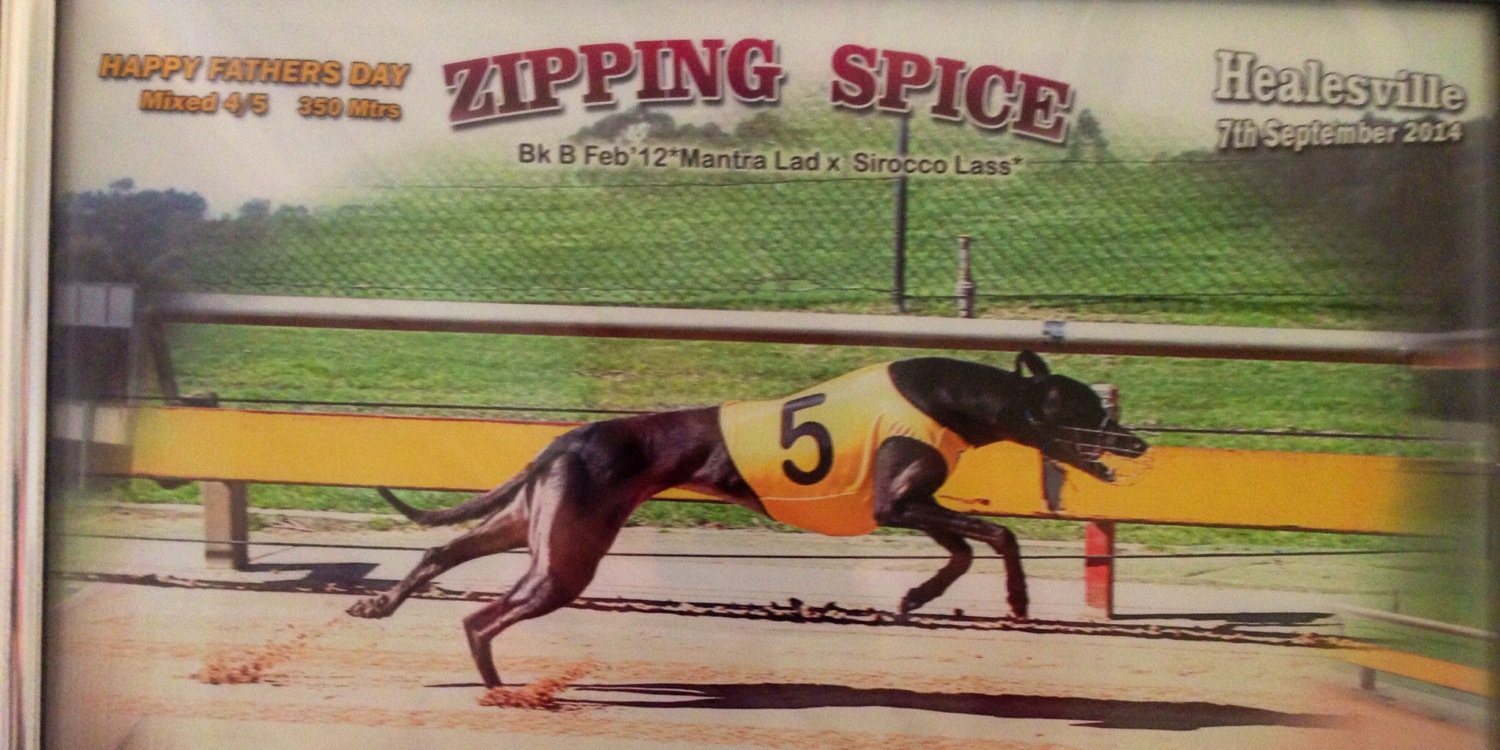 Zipping_Spice's profile banner image