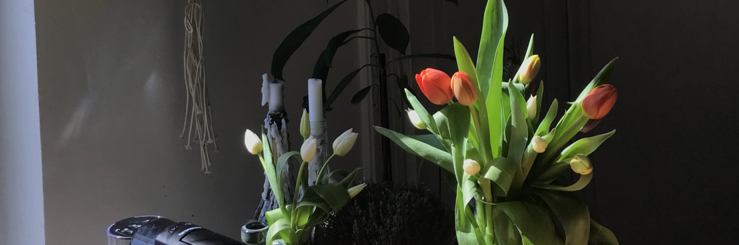 poppybever's profile banner image