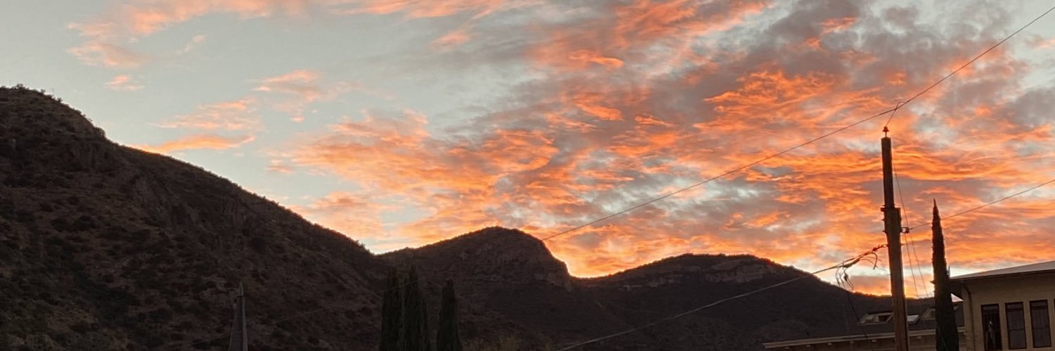 Matthew Singer banner